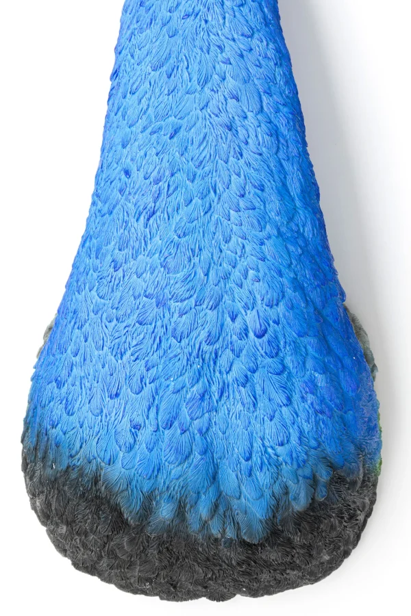 Decorazione da parete Peacock - KARE