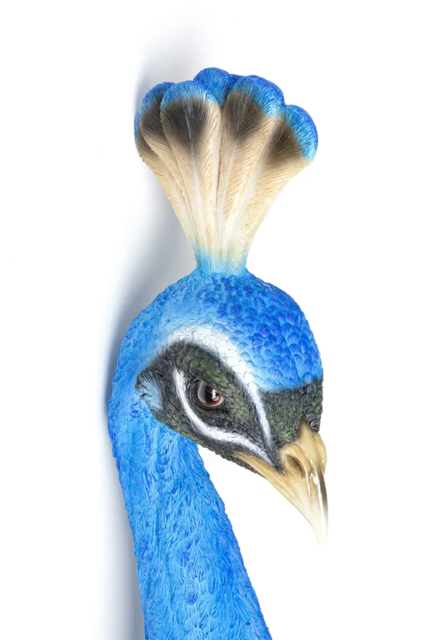 Decorazione da parete Peacock - KARE