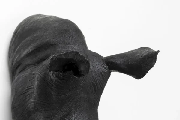 Decorazione da parete Rhino Head Antique nero 22x4 - KARE