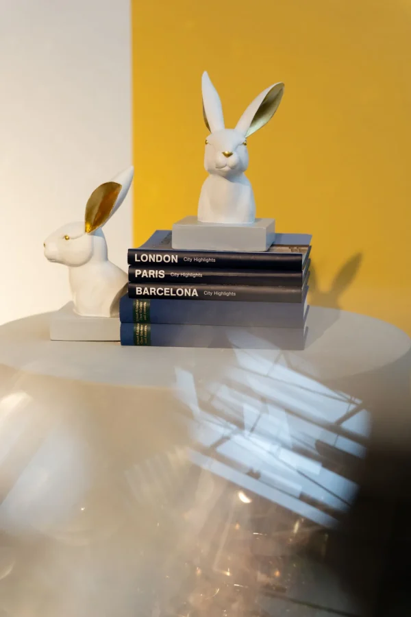 Fermalibro Rabbit (2/Set) - KARE