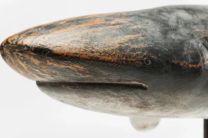Figura Decorativa Shark Base - KARE