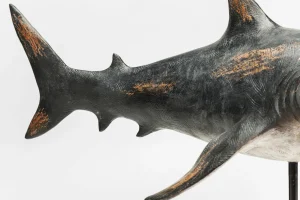 Figura Decorativa Shark Base - KARE