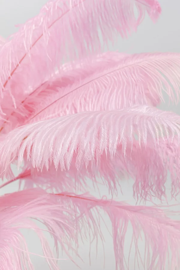 Lampada a stelo Feather Palm pink 165cm - KARE