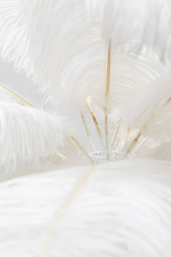 Lampada da tavolo Feather Palm bianco 60cm - KARE
