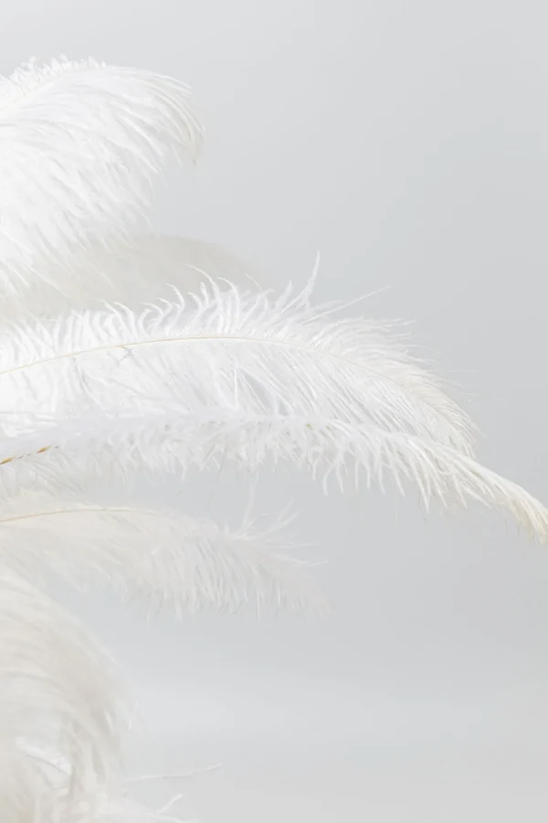 Lampada da tavolo Feather Palm bianco 60cm - KARE