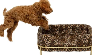 Lettino per cani/gatto Diva Leo - KARE