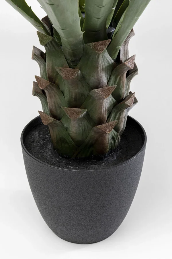 Pianta decorativa Agave 85cm - KARE