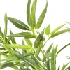 PIANTA DECORATIVA BAMBOO TREE 200CM - KARE
