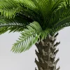 Pianta decorativa Cycas 70cm - KARE