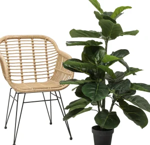 PIANTA DECORATIVA FIDDLE LEAF 120CM - KARE