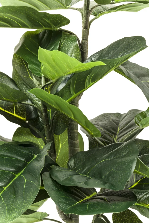 PIANTA DECORATIVA FIDDLE LEAF 120CM - KARE