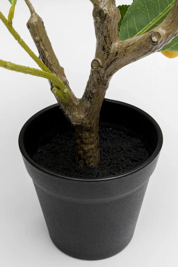 Pianta decorativa Lemon Tree 60cm - KARE