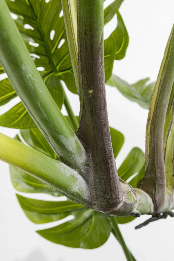 Pianta Decorativa Monstera 110cm - KARE