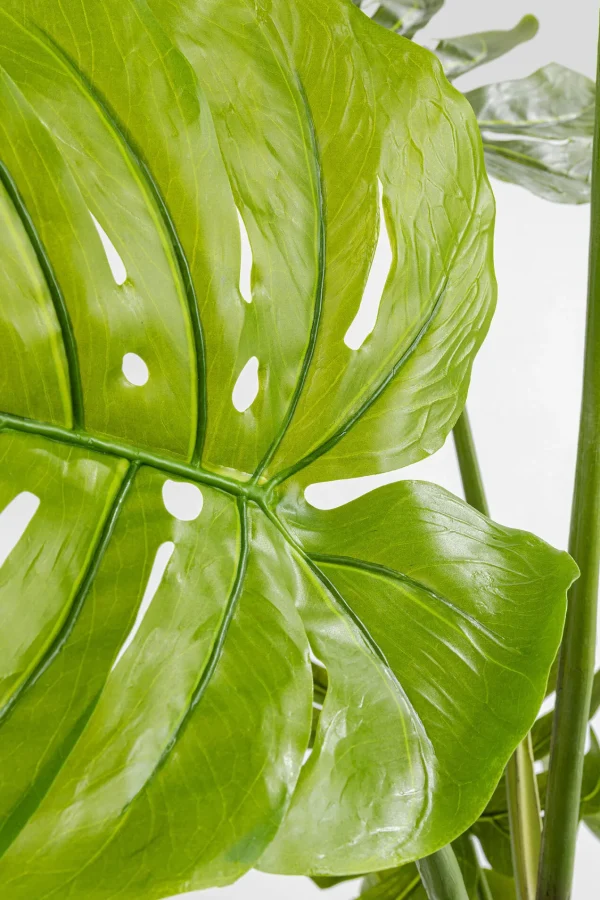 Pianta Decorativa Monstera 110cm - KARE