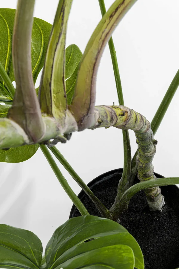 Pianta Decorativa Monstera 110cm - KARE