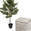 Pianta decorativa Olive Tree 120cm - KARE