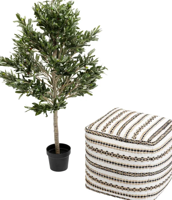 Pianta decorativa Olive Tree 120cm - KARE