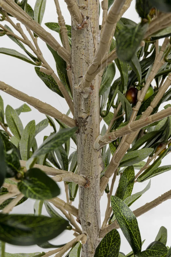 Pianta decorativa Olive Tree 120cm - KARE