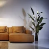Pianta Decorativa Paradise Flowers 190cm - KARE