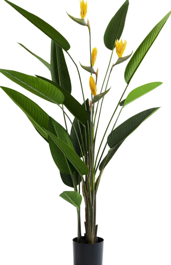 Pianta Decorativa Paradise Flowers 190cm - KARE