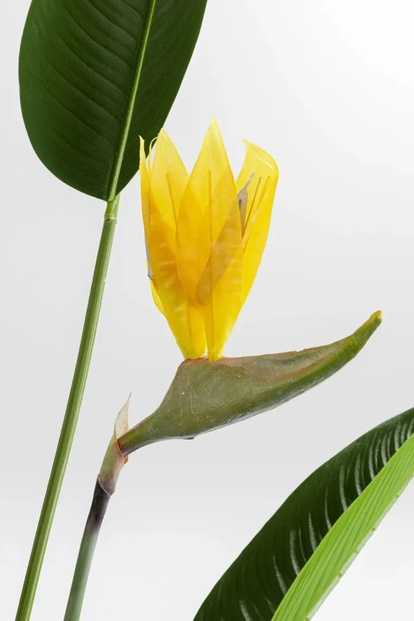 Pianta Decorativa Paradise Flowers 190cm - KARE