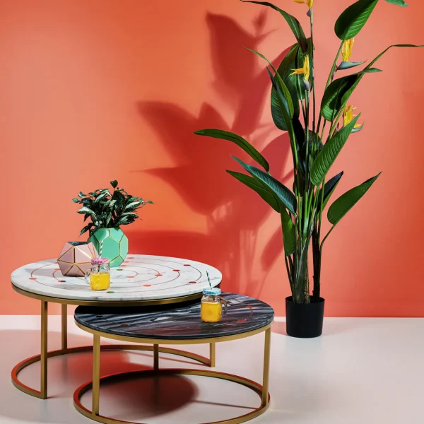 Pianta Decorativa Paradise Flowers 190cm - KARE