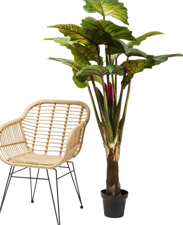 Pianta Decorativa Rainforest Green 160cm - KARE