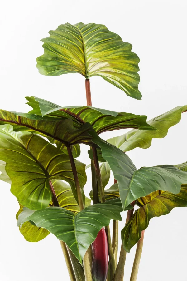 Pianta Decorativa Rainforest Green 160cm - KARE