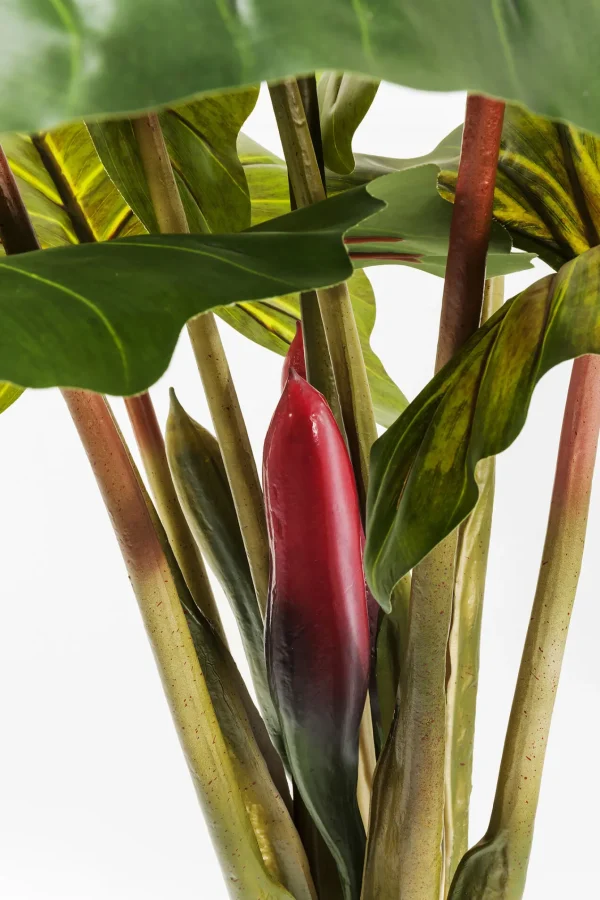 Pianta Decorativa Rainforest Green 160cm - KARE