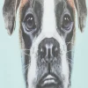 PICTURE GLASS DOG FACE 60X60CM - KARE