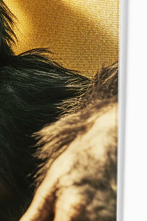 Quadro vetro Holiday Monkey 80x60cm - KARE