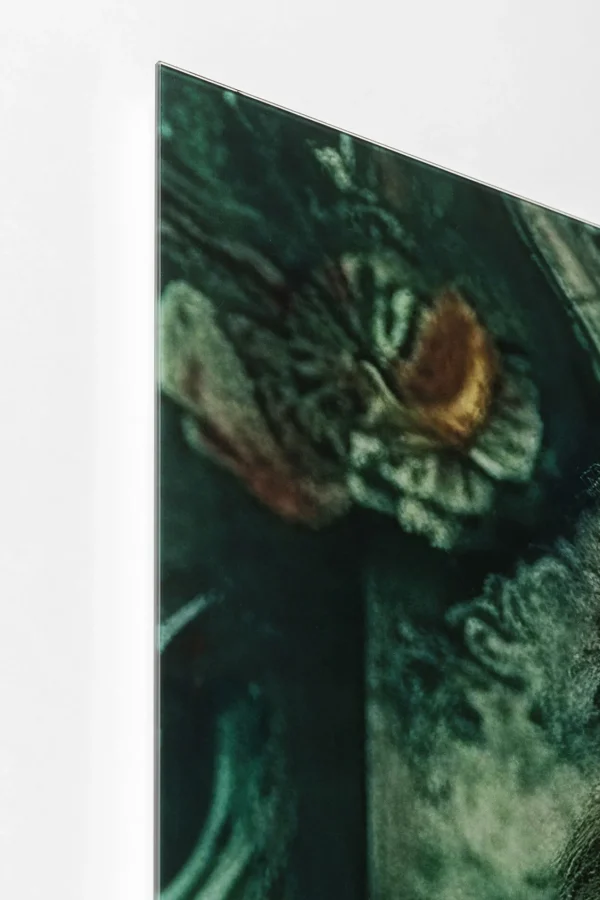 Quadro vetro Mister Lion 150x100cm - KARE