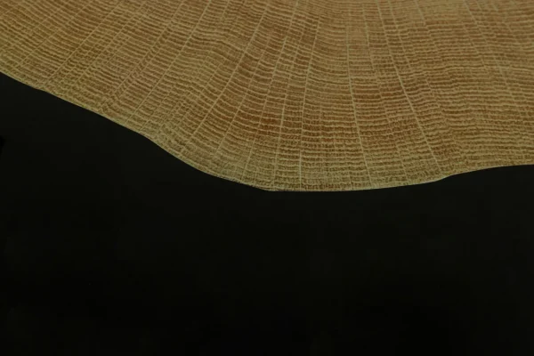 Tavolino Medallion Ø80cm - KARE