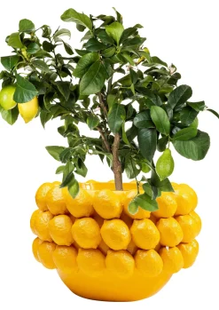 KARE Design Cachepot decorativo Lemons 22cm - KARE></noscript> Vasi E Fioriere|Vasi