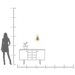 KARE Design Decorazione da parete Herkules Beetle oro - KARE> Decorazioni Da Parete