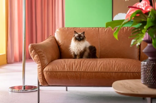 KARE Design Divano Napa 226cm - KARE> Divani