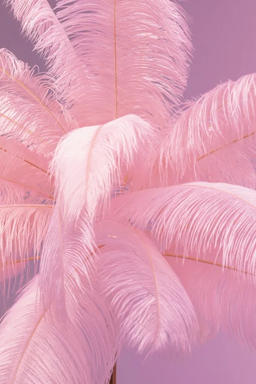 KARE Design Lampada a stelo Feather Palm pink 165cm - KARE> Lampade Da Terra