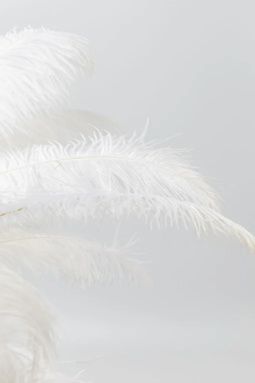 KARE Design Lampada da tavolo Feather Palm bianco 60cm - KARE> Lampade Da Tavolo