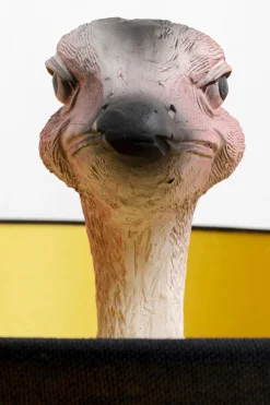 KARE Design Lampada da terra Animal Ostrich 147cm - KARE></noscript> Lampade Da Terra