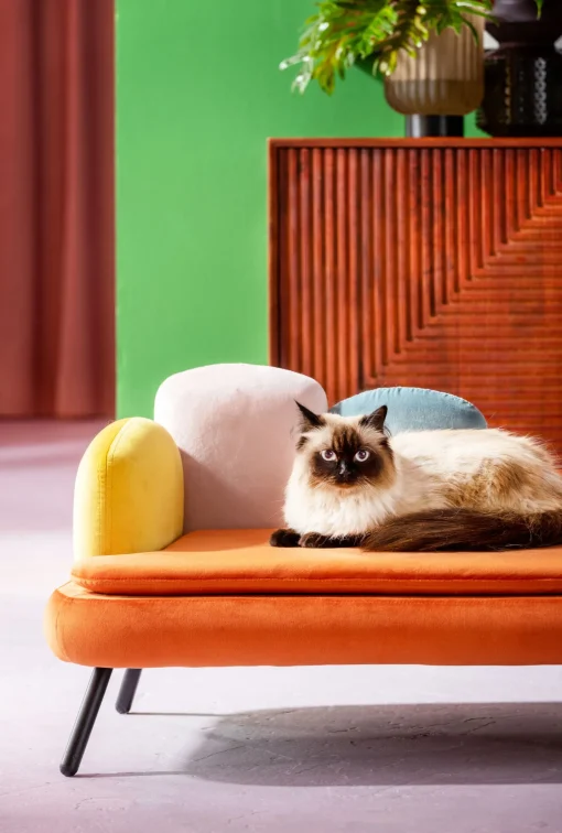 KARE Design Lettino per cani/gatto Diva arancio - KARE> Accessori Per Animali