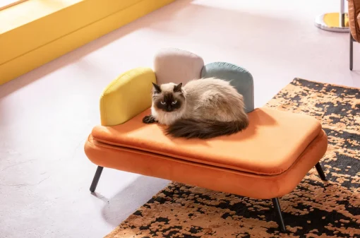 KARE Design Lettino per cani/gatto Diva arancio - KARE> Accessori Per Animali