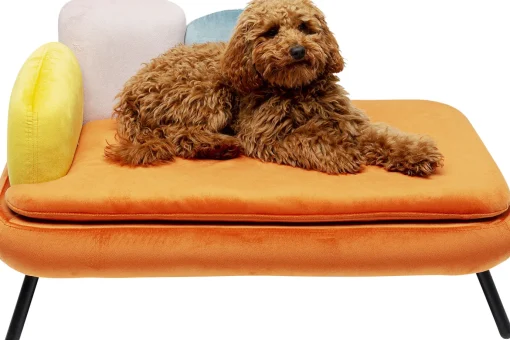 KARE Design Lettino per cani/gatto Diva arancio - KARE> Accessori Per Animali