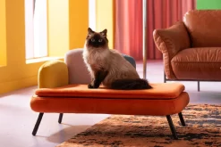 KARE Design Lettino per cani/gatto Diva arancio - KARE></noscript> Accessori Per Animali