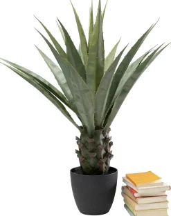 KARE Design Pianta decorativa Agave 85cm - KARE> Piante Artificiali