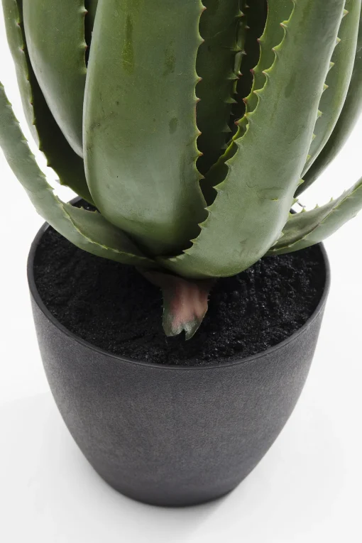 KARE Design Pianta Decorativa Aloe 69cm - KARE> Piante Artificiali