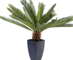 KARE Design Pianta decorativa Cycas 78 cm - KARE> Piante Artificiali