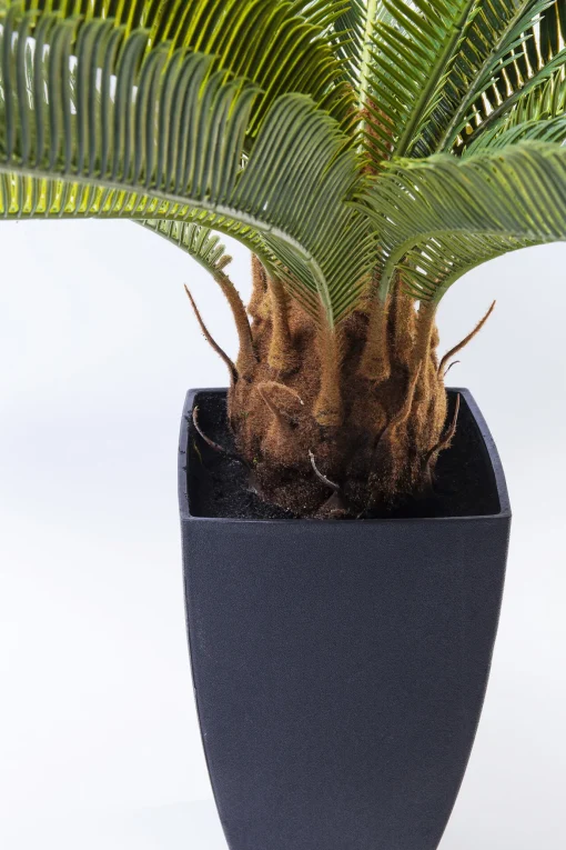 KARE Design Pianta decorativa Cycas 78 cm - KARE> Piante Artificiali