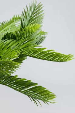 KARE Design Pianta decorativa Cycas 70cm - KARE> Piante Artificiali