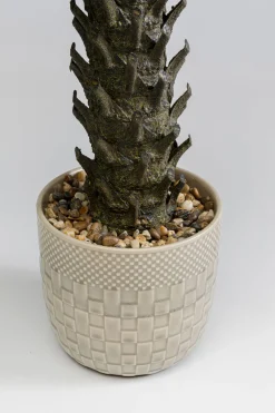 KARE Design Pianta decorativa Cycas 70cm - KARE></noscript> Piante Artificiali