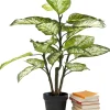 KARE Design Pianta decorativa Dieffenbachie 100cm - KARE> Piante Artificiali